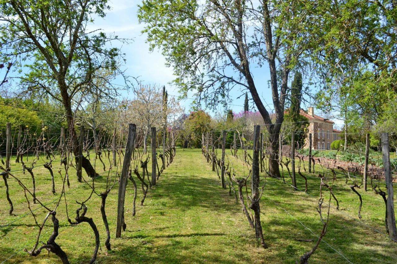 Chambre D'Hote Au Domaine Terre De Chenes Saint-Paul-de-Baise Экстерьер фото
